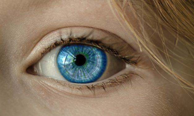 Leg med dit udtryk – leg med din øjenfarve